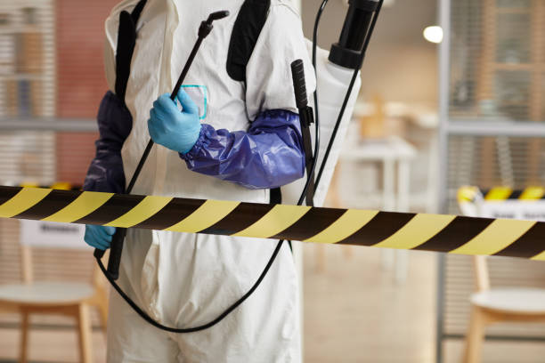 Professional Sewage Cleanup technician working in Edison, NJ